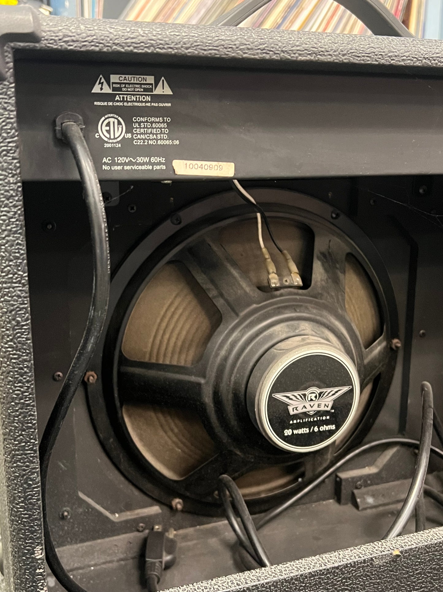 Raven RG 20 Guitar Amp