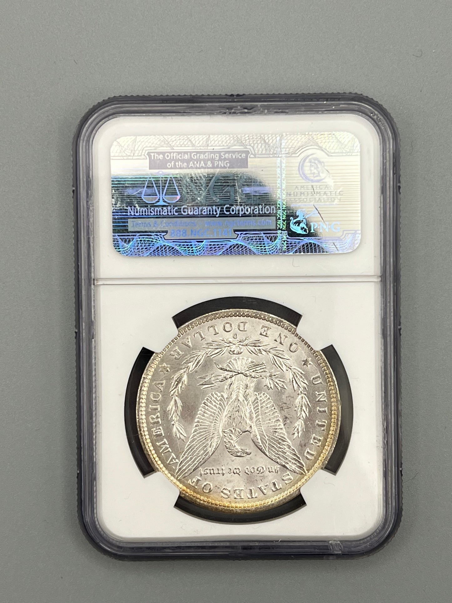 1884 Morgan O S$1 MS65